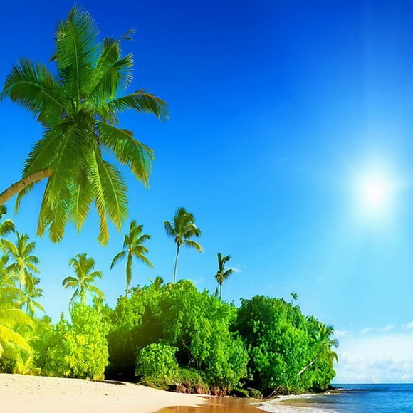 Meet your Posher, Robert - Picture 1 of 1